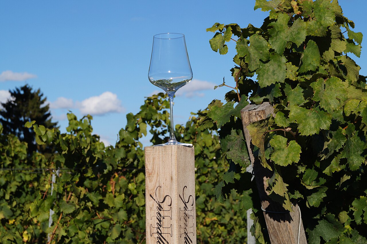 Verre à vin